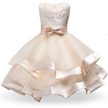 Load image into Gallery viewer, Elegant Princess Party Dress