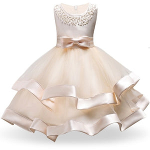 Elegant Princess Party Dress