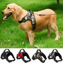 Load image into Gallery viewer, Harness Collar Adjustable