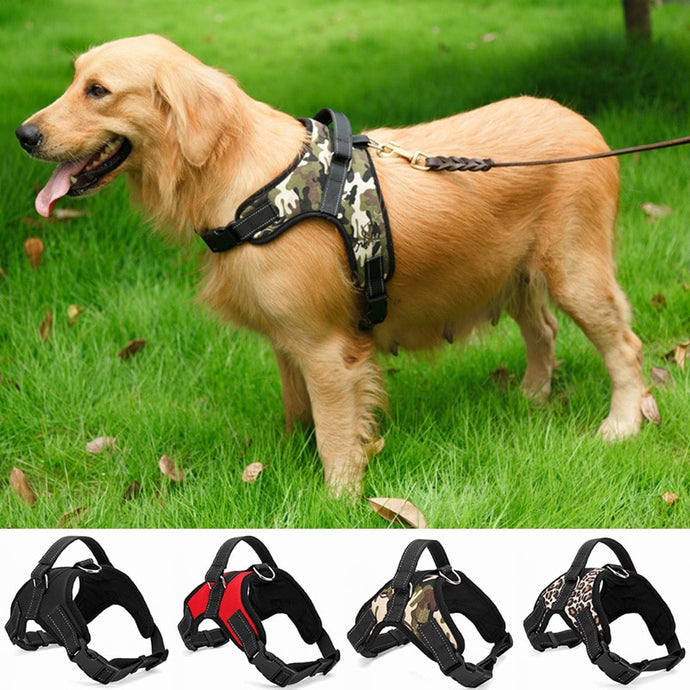 Harness Collar Adjustable