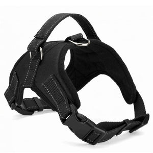 Harness Collar Adjustable