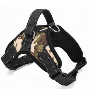 Harness Collar Adjustable