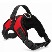 Load image into Gallery viewer, Harness Collar Adjustable