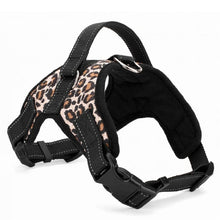 Load image into Gallery viewer, Harness Collar Adjustable